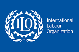 Labor Organization in ODL